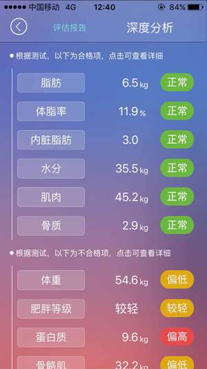 新澳历史开奖记录查询结果,新澳历史开奖记录查询结果深度解析