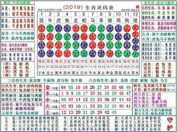 2024最新奥马免费资料生肖卡,探索最新奥马免费资料生肖卡的秘密与机遇