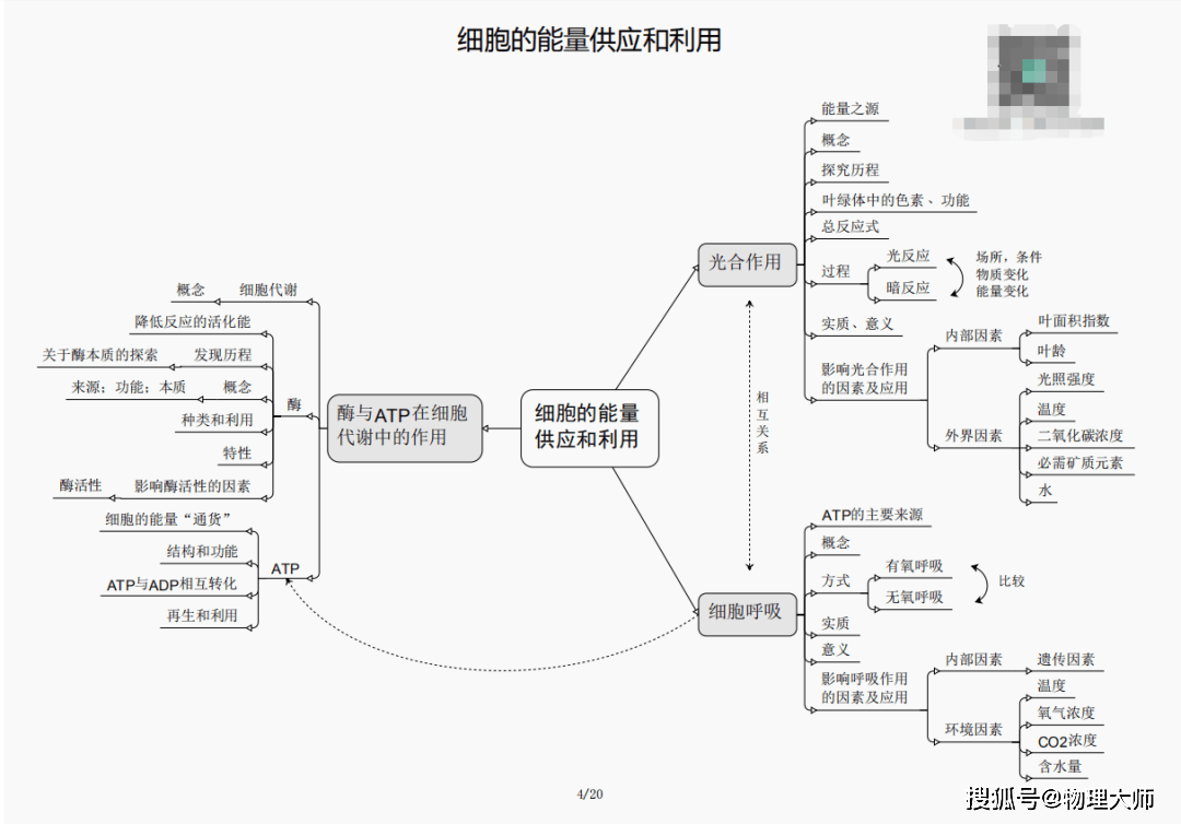 白小姐三肖三期必出一期开奖哩哩,白小姐三肖三期必出一期开奖哩哩——揭秘彩票神话与真实