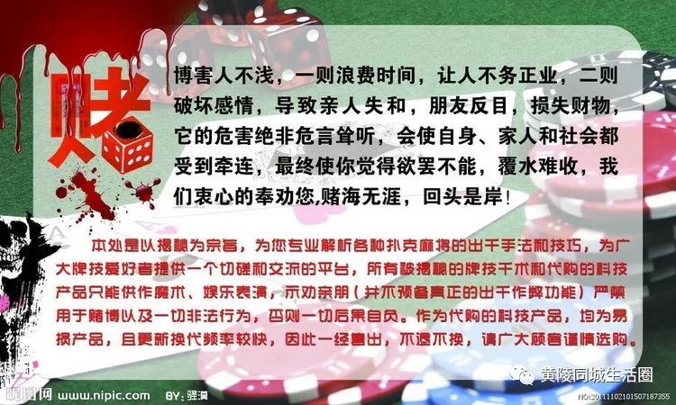 2004管家婆一肖一码澳门码,关于2004管家婆一肖一码澳门码的警示——远离非法赌博，守护个人安全