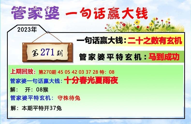 2025年1月6日 第31页