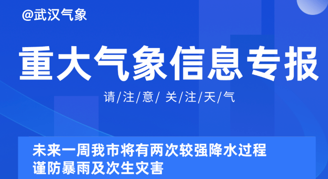 2025新奥资料免费精准051,探索未来，2025新奥资料免费精准共享之路